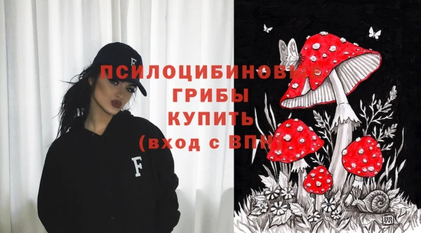 метадон Абаза